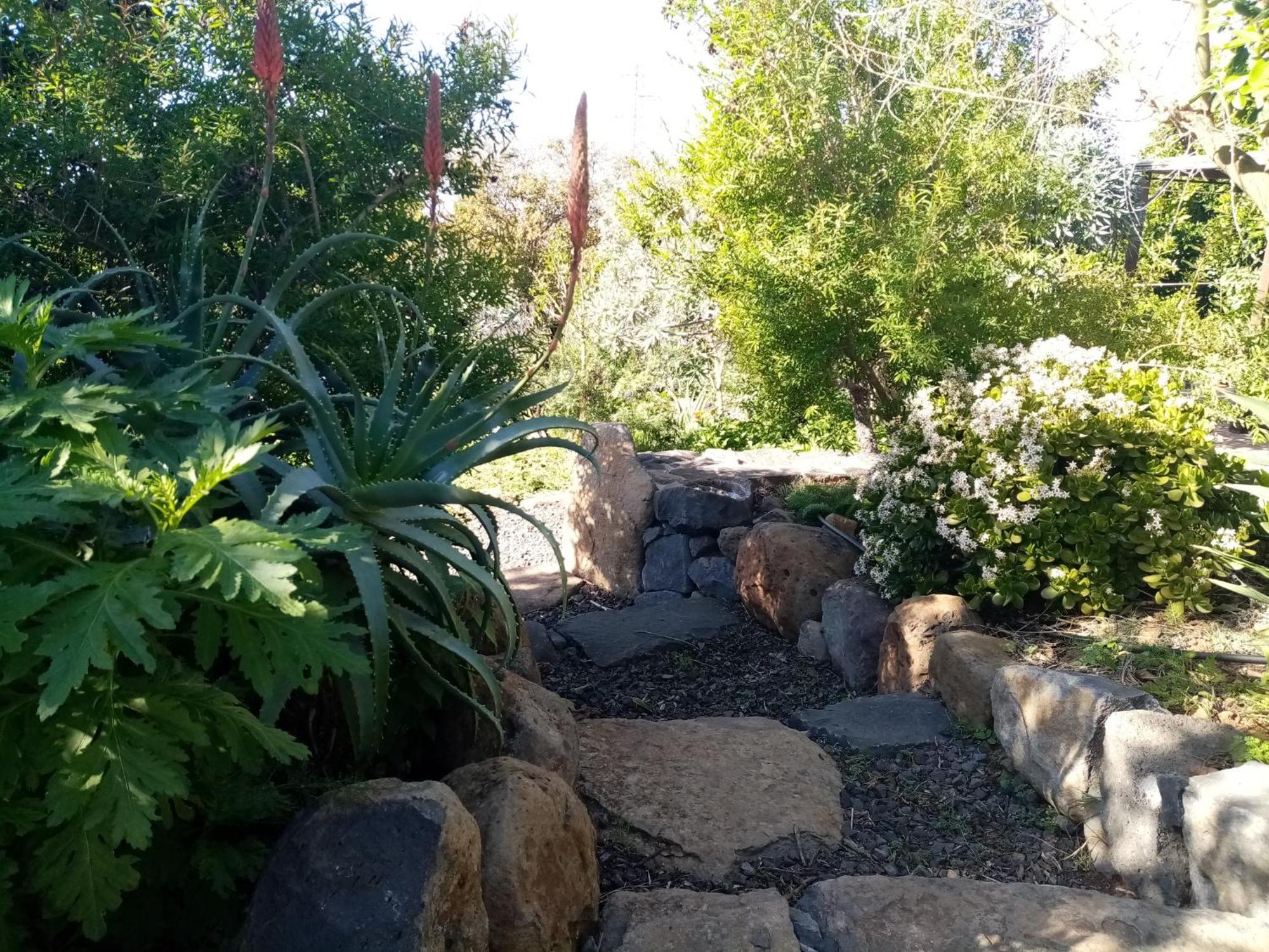 Finca Caboquitos Garafía Εξωτερικό φωτογραφία